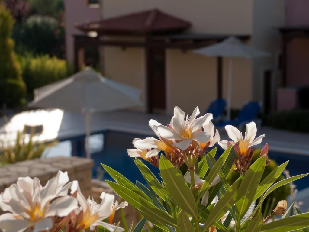 Eligia Villas Mixorrouma Room photo